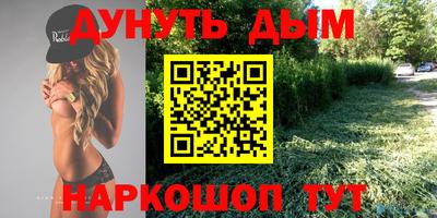 спиды Бийск