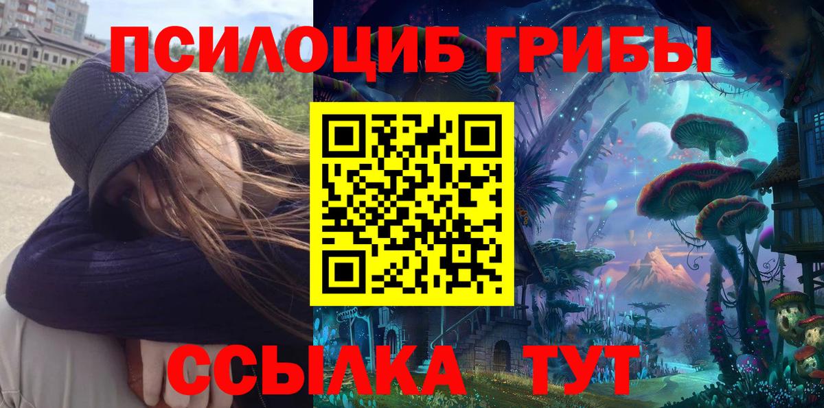 Псилоцибиновые грибы прущие грибы  Псилоцибиновые грибы Cubensis  Кашира  Вход с VPN 