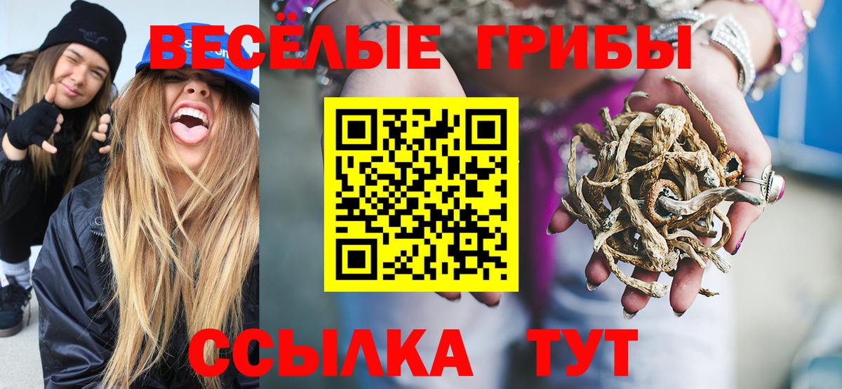 Псилоцибиновые грибы Magic Shrooms Кашира